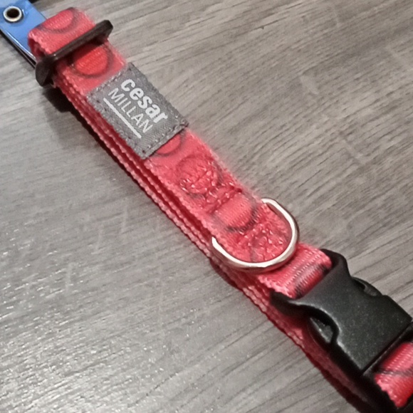 BNWT small dog Cesar Millan/ Cesars Way 9-14" collar. Red. - Picture 1 of 4